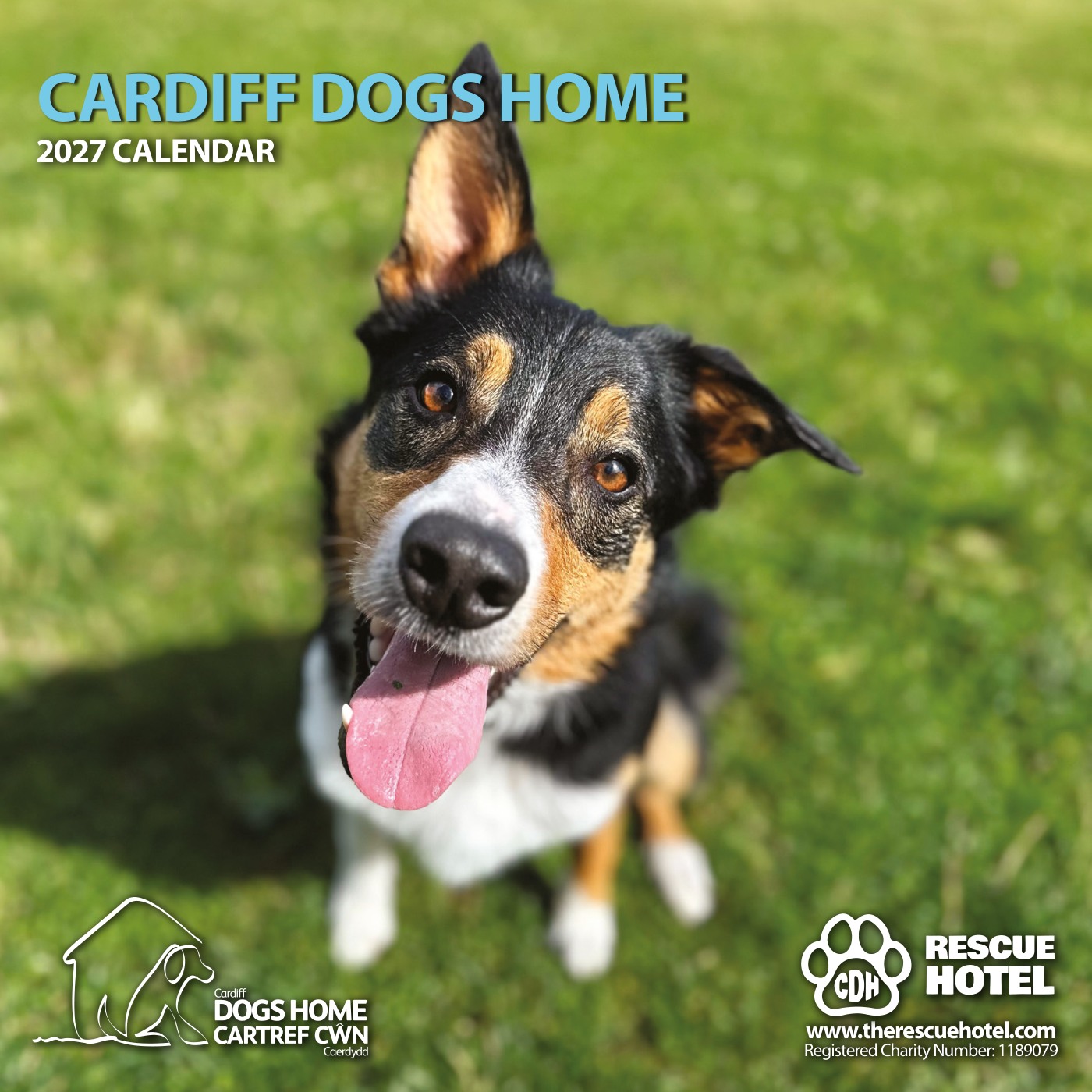 Cardiff Dogs Home 2027 Calendar – 16 Months