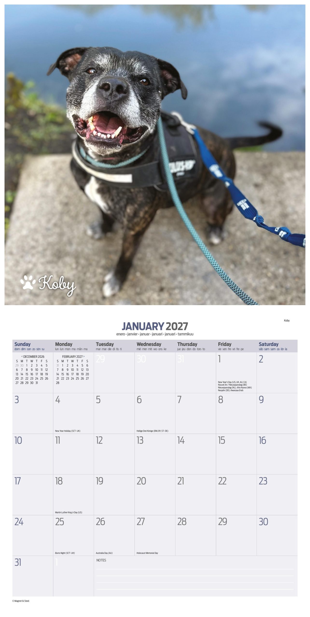 Cardiff Dogs Home 2027 Calendar – 16 Months - Image 5