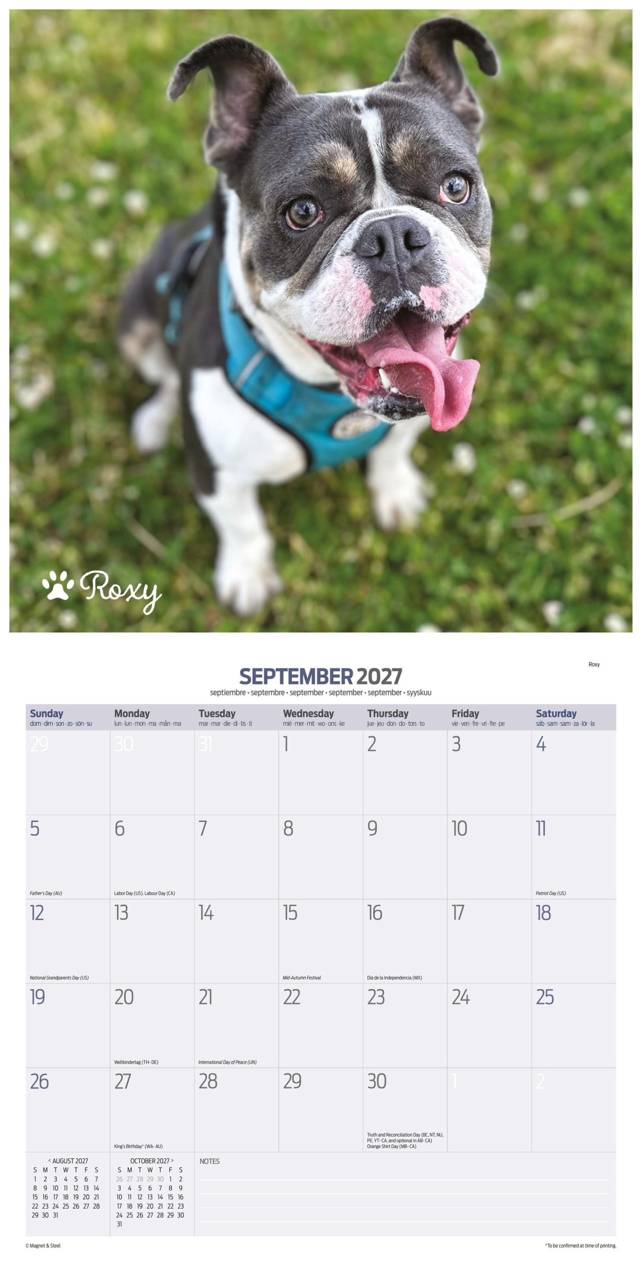Cardiff Dogs Home 2027 Calendar – 16 Months - Image 8