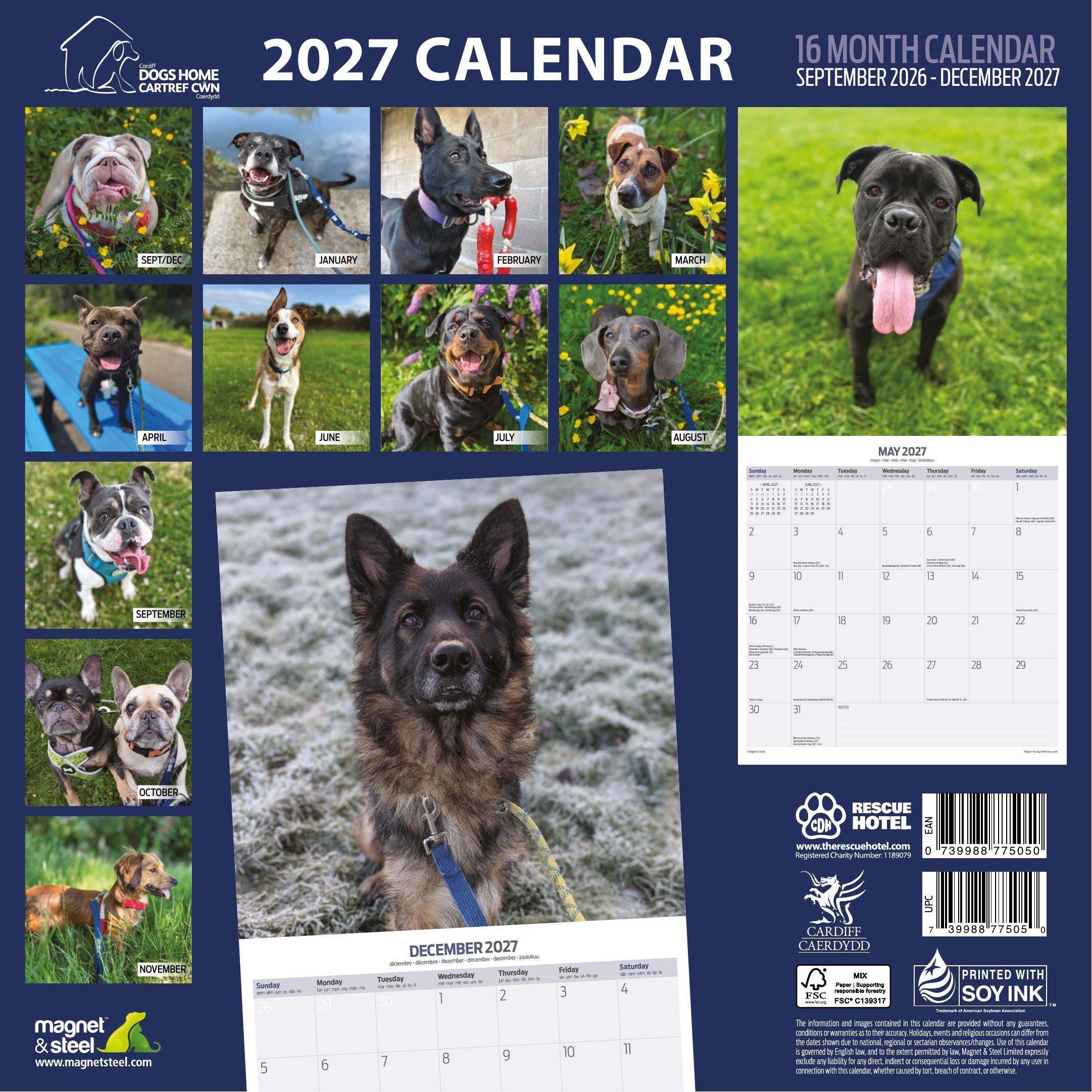 Cardiff Dogs Home 2027 Calendar – 16 Months - Image 6