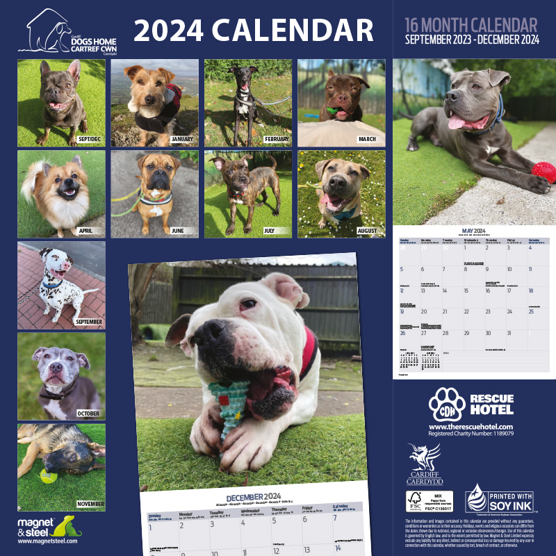 2024 Rescue Hotel Calendar